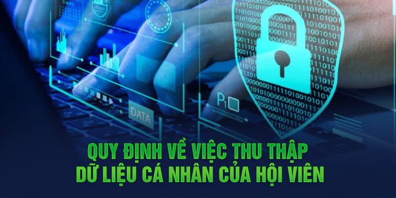 Quy định về việc thu thập dữ liệu cá nhân của hội viên